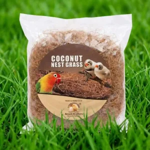Coconut Nest Grass