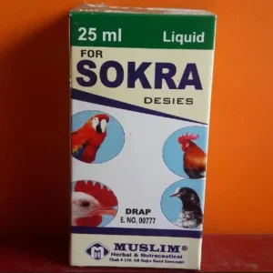 Sokra