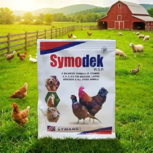 Symodek
