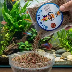 Fish Feed ( Bita Mines )