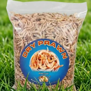Dry Prawn
