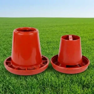 Seed Feeder
