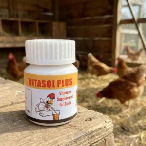 Vitasol Plus