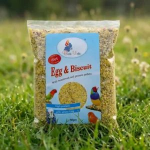 Egg Biscuit