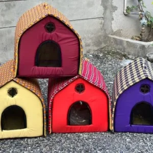 Cat House